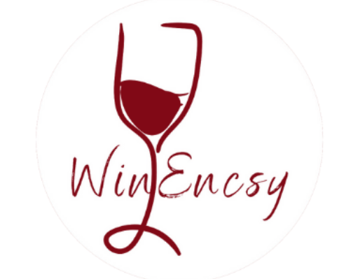 WinEncsy
