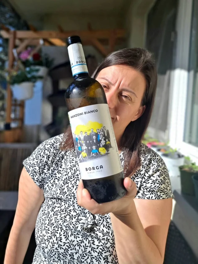 The differences between Old World and New World Pinot Noir - WinEncsy